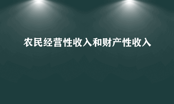 农民经营性收入和财产性收入