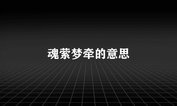 魂萦梦牵的意思