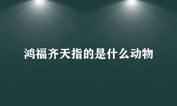 鸿福齐天指的是什么动物