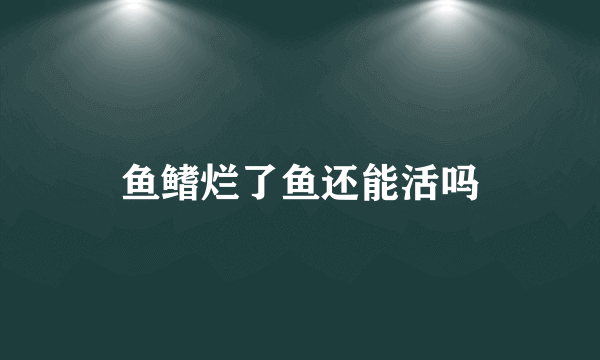 鱼鳍烂了鱼还能活吗