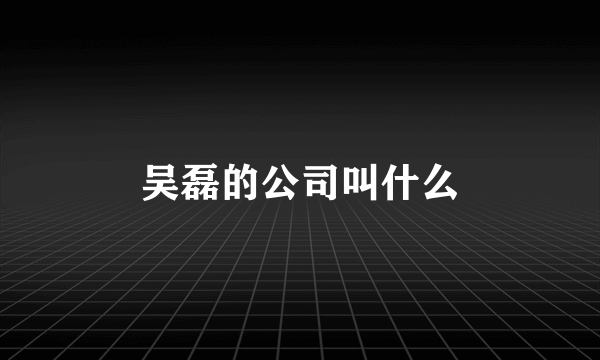 吴磊的公司叫什么