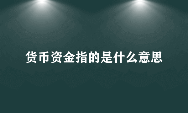 货币资金指的是什么意思