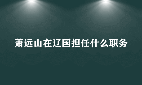 萧远山在辽国担任什么职务