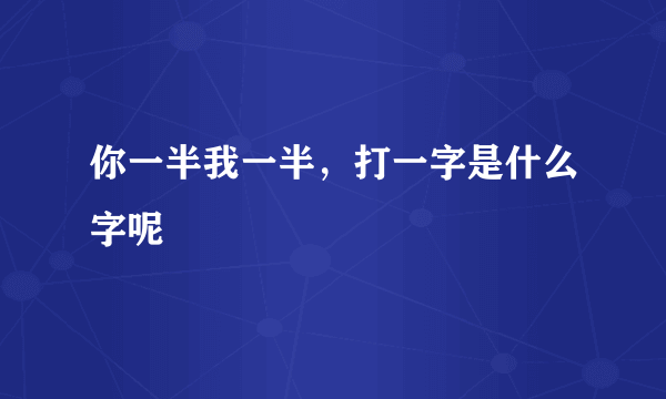 你一半我一半，打一字是什么字呢