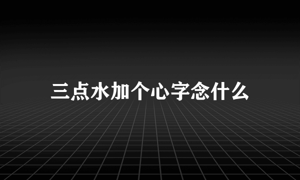 三点水加个心字念什么