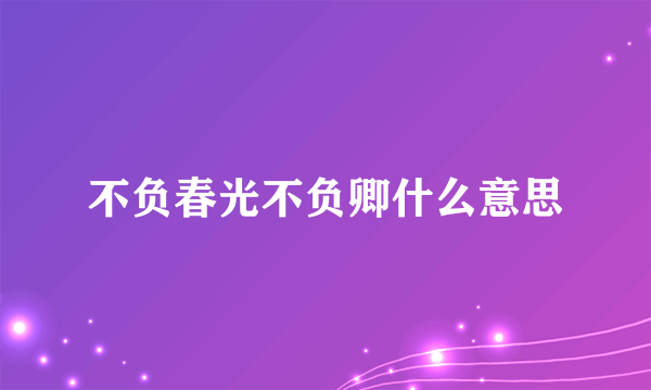 不负春光不负卿什么意思