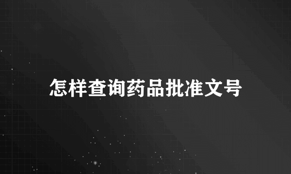 怎样查询药品批准文号