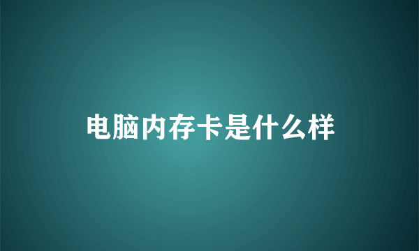 电脑内存卡是什么样