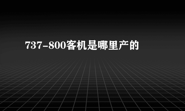 737-800客机是哪里产的