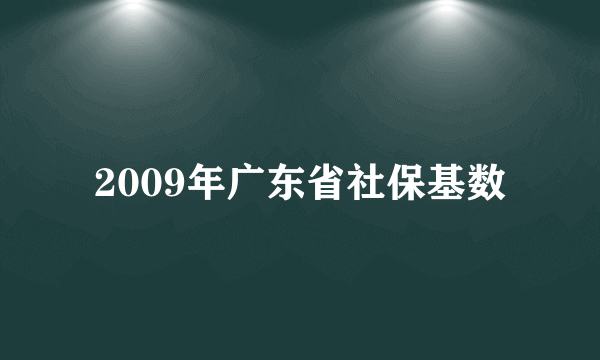 2009年广东省社保基数