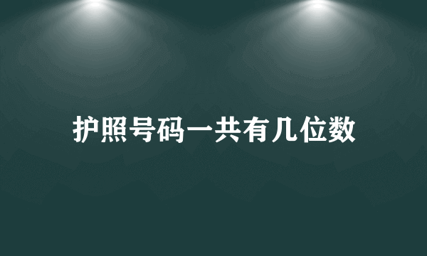 护照号码一共有几位数