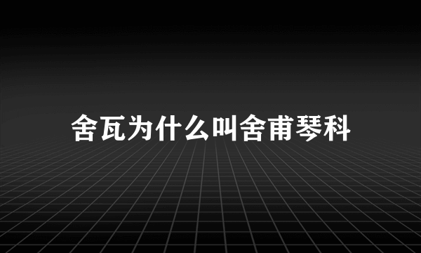 舍瓦为什么叫舍甫琴科