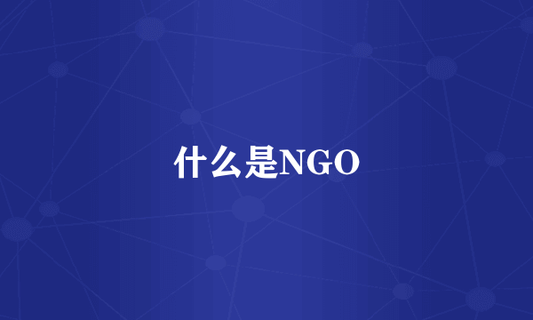 什么是NGO