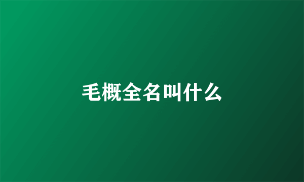 毛概全名叫什么