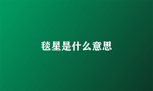 毯星是什么意思