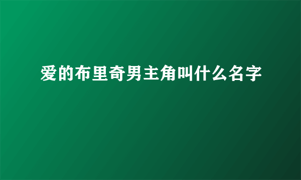 爱的布里奇男主角叫什么名字