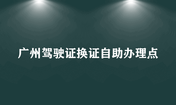 广州驾驶证换证自助办理点