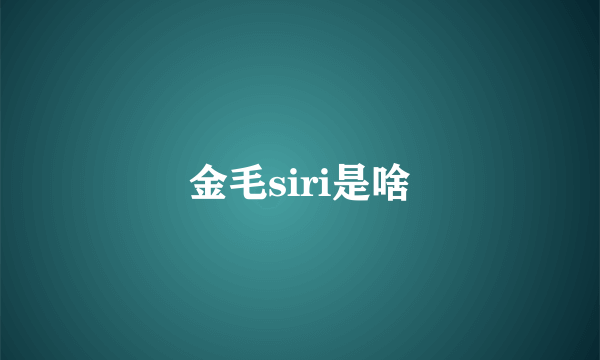 金毛siri是啥