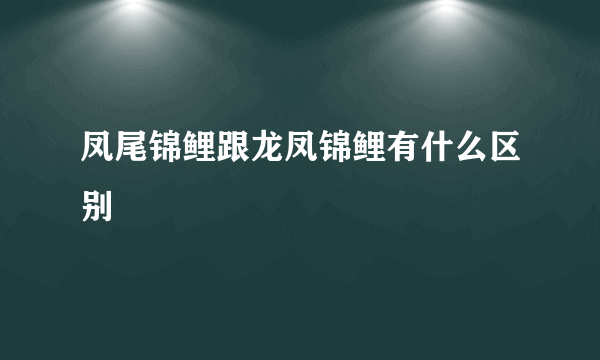 凤尾锦鲤跟龙凤锦鲤有什么区别