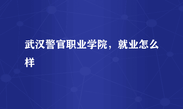 武汉警官职业学院，就业怎么样