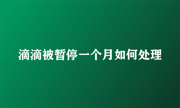 滴滴被暂停一个月如何处理