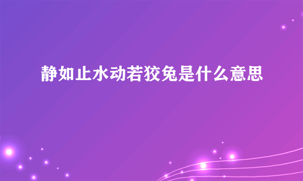 静如止水动若狡兔是什么意思