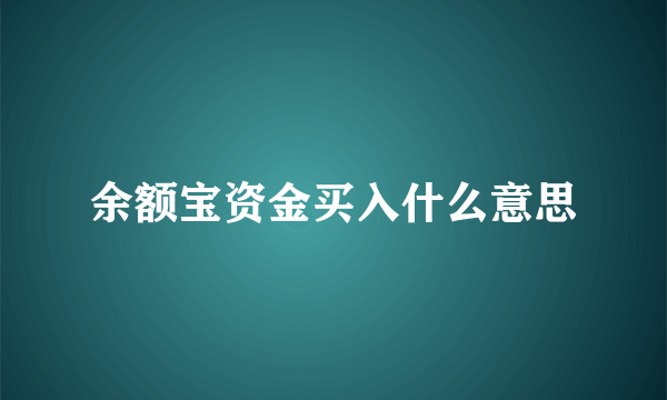 余额宝资金买入什么意思