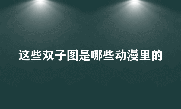 这些双子图是哪些动漫里的