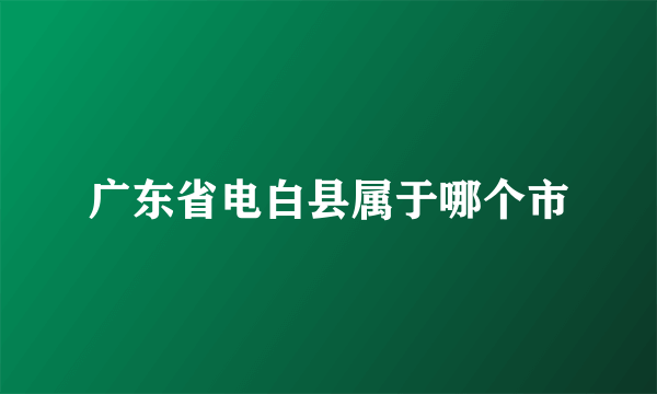 广东省电白县属于哪个市