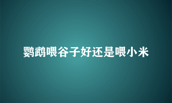 鹦鹉喂谷子好还是喂小米