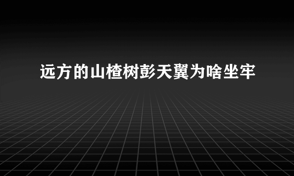 远方的山楂树彭天翼为啥坐牢