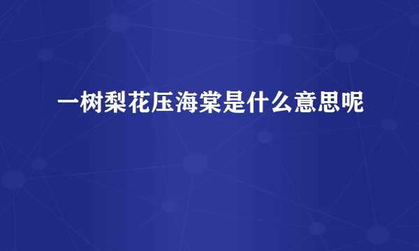 一树梨花压海棠是什么意思呢