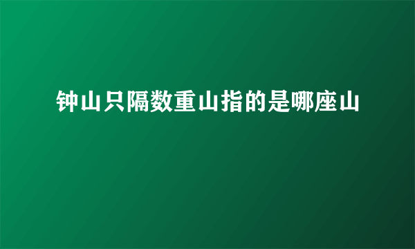 钟山只隔数重山指的是哪座山