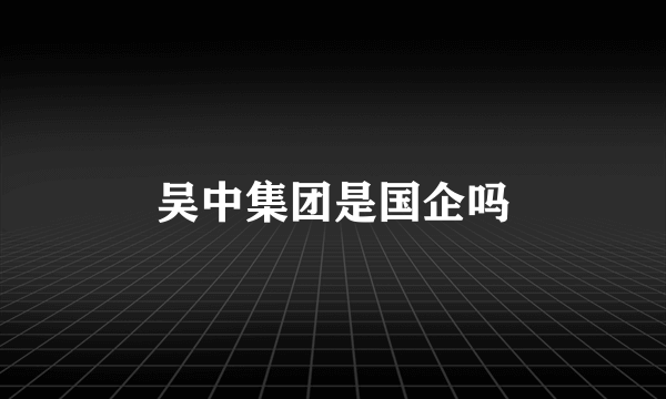 吴中集团是国企吗