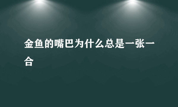 金鱼的嘴巴为什么总是一张一合