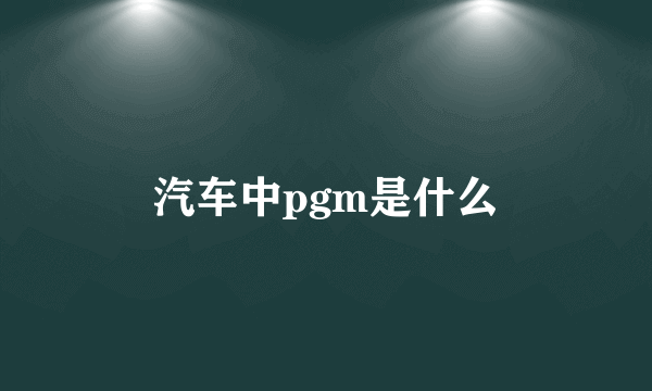 汽车中pgm是什么