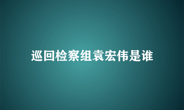 巡回检察组袁宏伟是谁