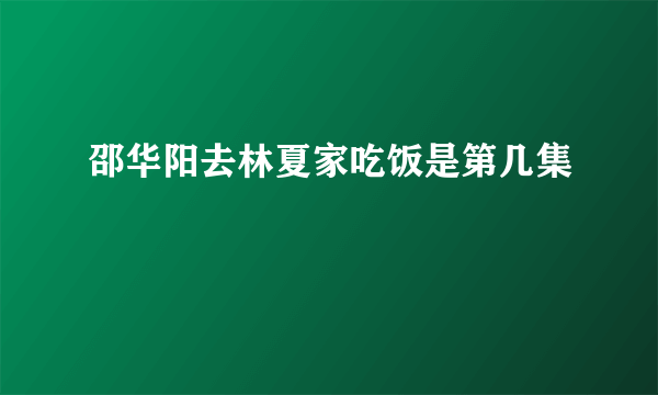 邵华阳去林夏家吃饭是第几集