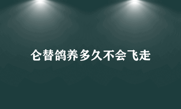 仑替鸽养多久不会飞走