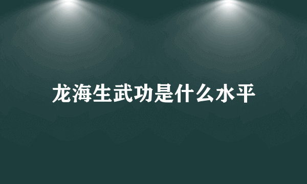 龙海生武功是什么水平