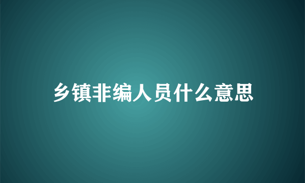 乡镇非编人员什么意思