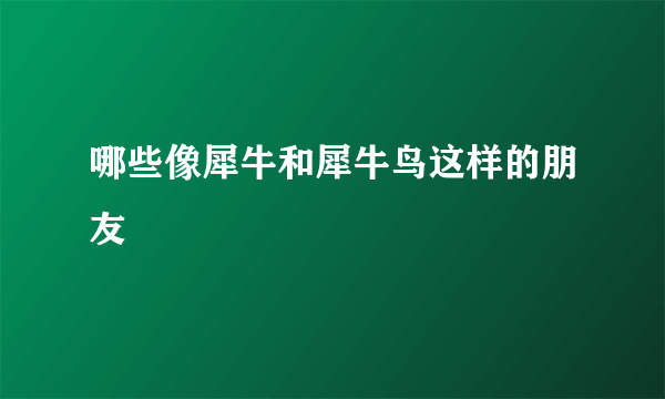 哪些像犀牛和犀牛鸟这样的朋友