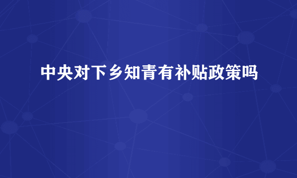 中央对下乡知青有补贴政策吗