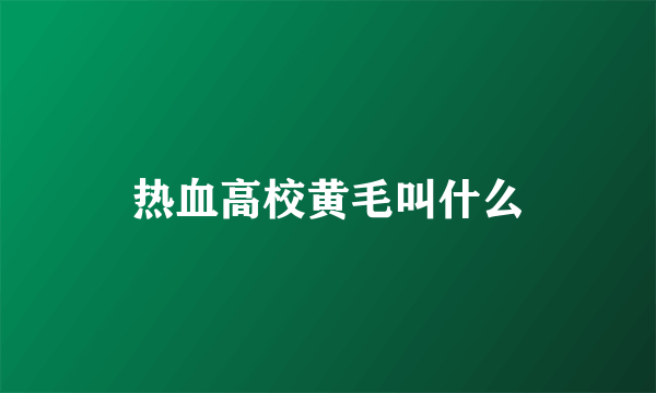 热血高校黄毛叫什么