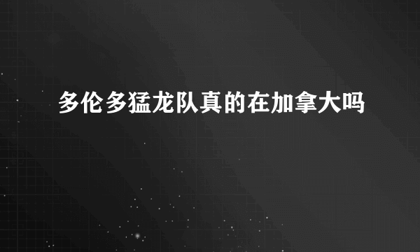 多伦多猛龙队真的在加拿大吗