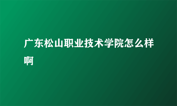 广东松山职业技术学院怎么样啊