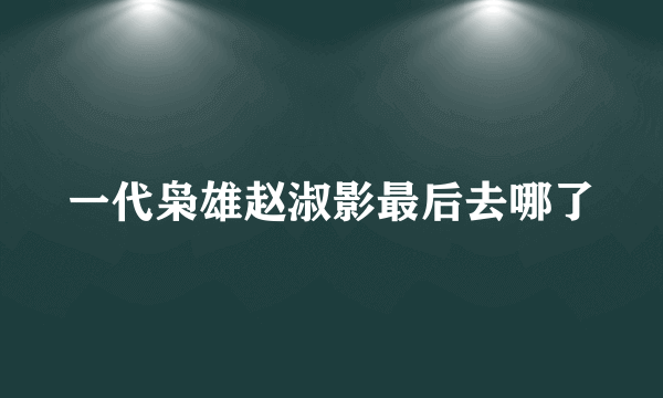 一代枭雄赵淑影最后去哪了