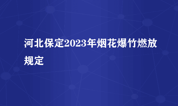 河北保定2023年烟花爆竹燃放规定