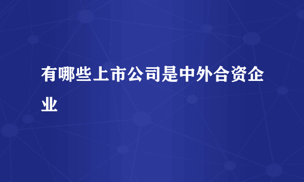 有哪些上市公司是中外合资企业