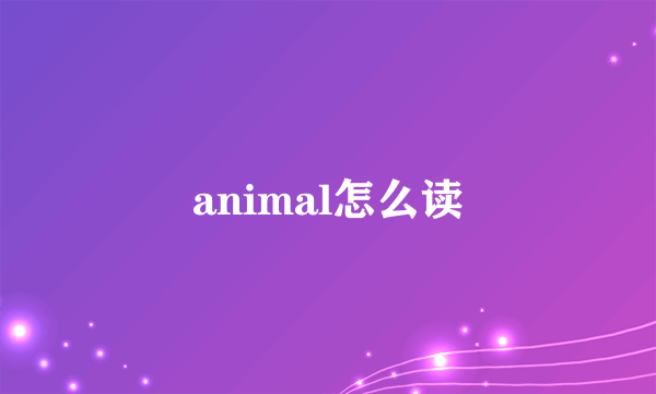 animal怎么读